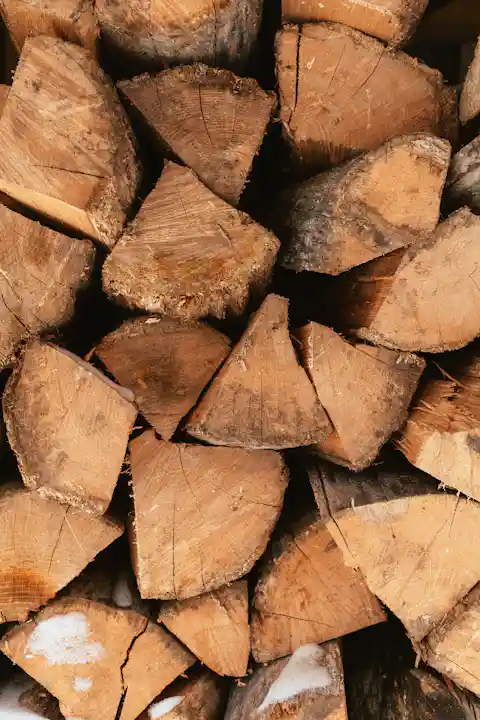 Pile of cut firewood
